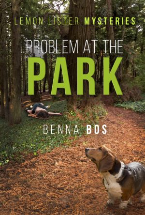 Problem At The Park